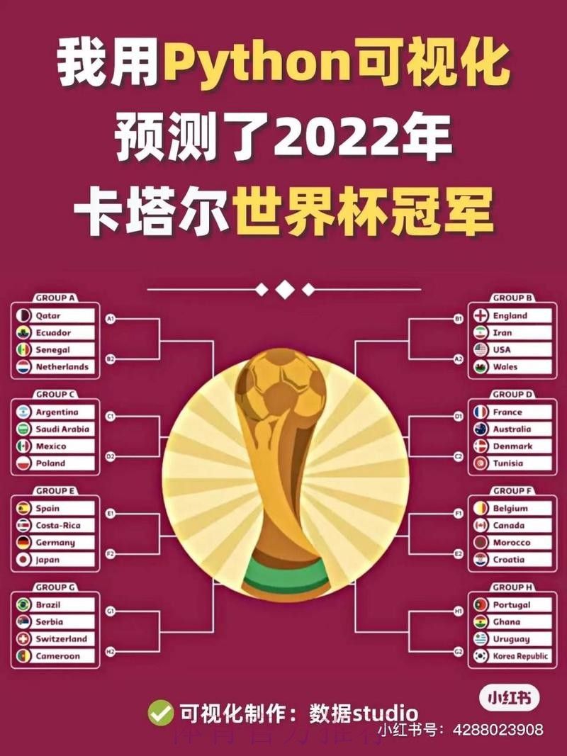 世界杯比赛分析与冠军预测